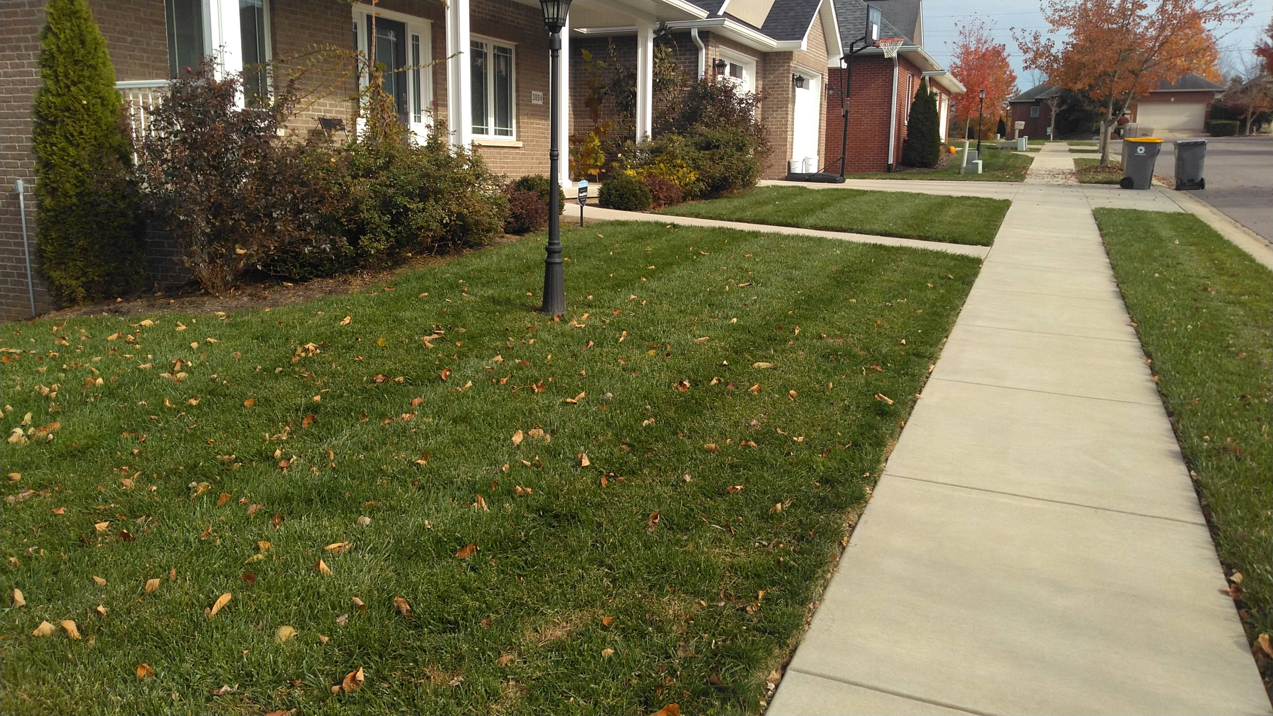 Professional Mowing Services in Bloomington